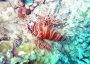 07Moorea - 22